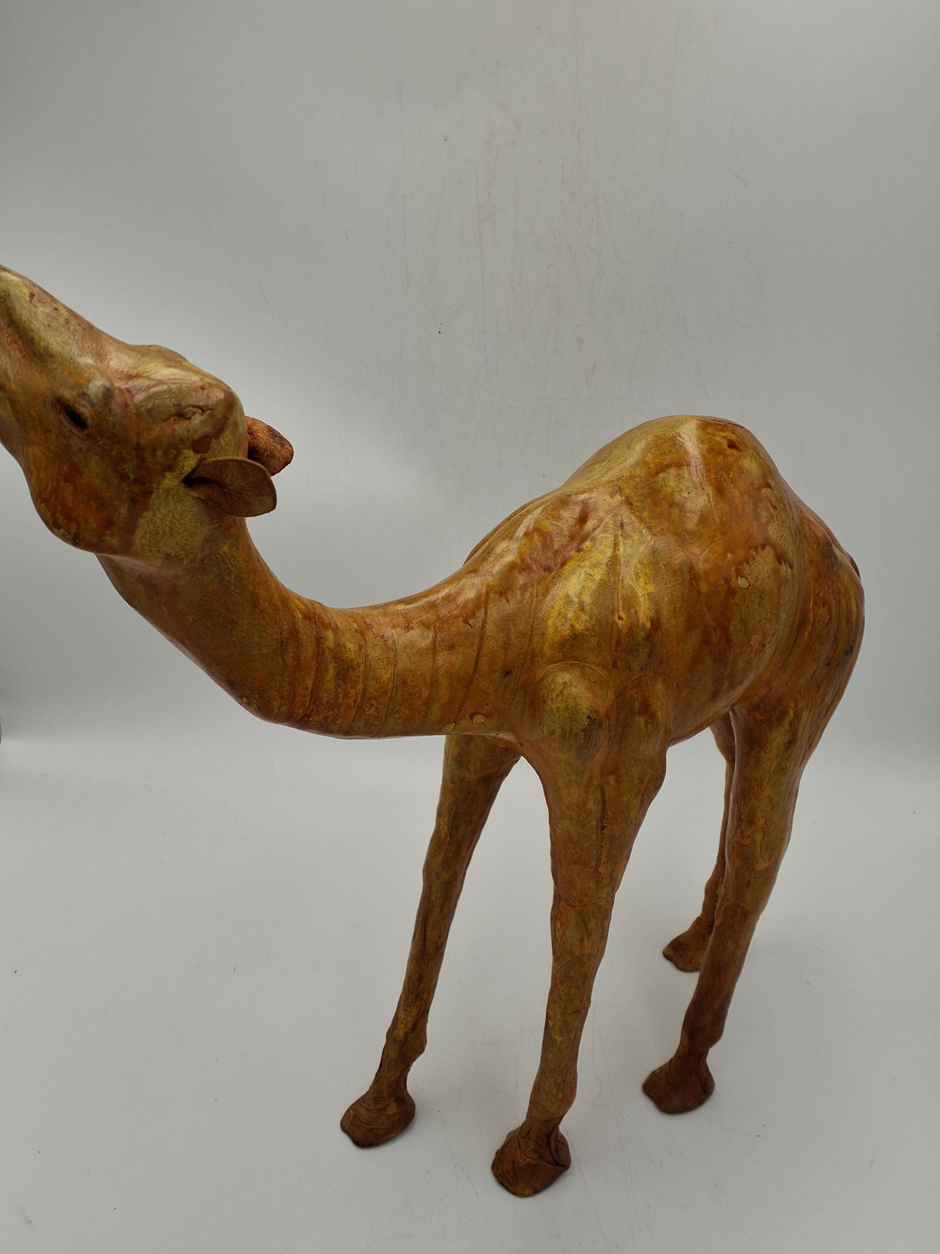 Kamel